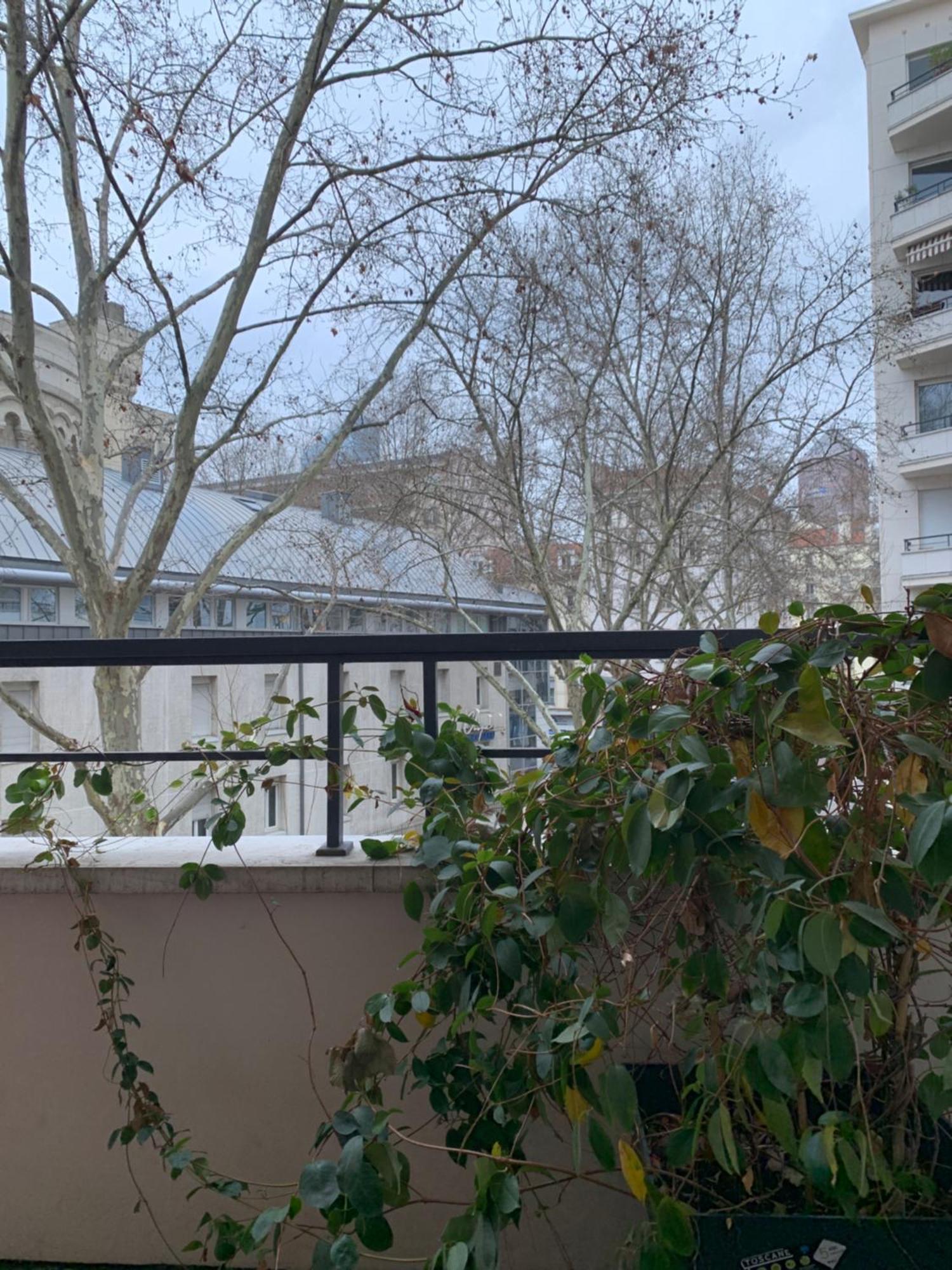 Lyon 3 Triangle D'Or Apartment ภายนอก รูปภาพ
