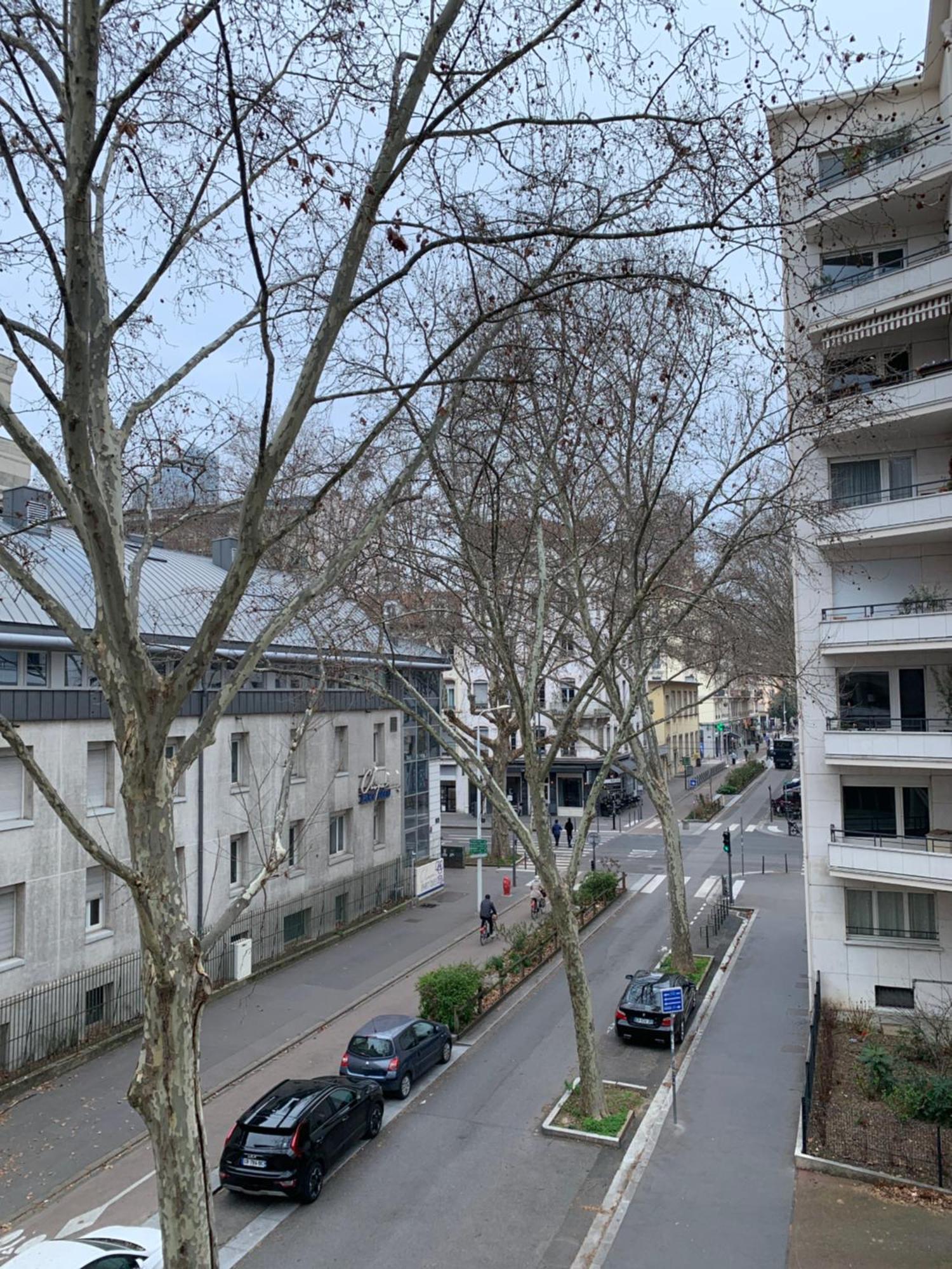 Lyon 3 Triangle D'Or Apartment ภายนอก รูปภาพ