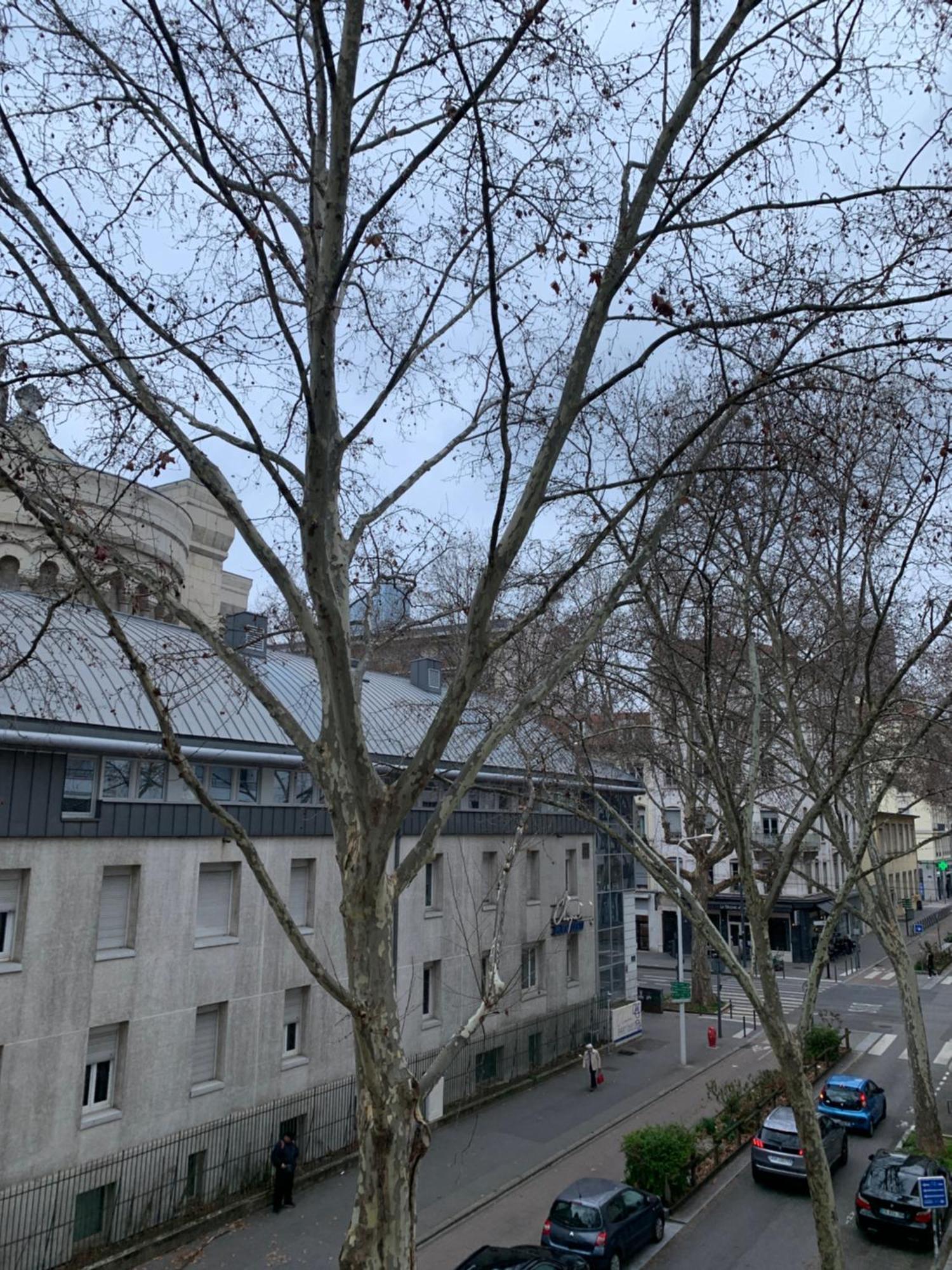 Lyon 3 Triangle D'Or Apartment ภายนอก รูปภาพ